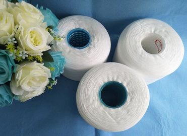 China 100% gesponnenes Polyester-Garn auf Kunststoffrohr für das Färben mit OEKO-Zertifikat fournisseur
