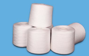 China 40 / 100% gesponnenes Polyester-Garn 2 40/3 auf sterbendem Rohr-natürlichem Plastikweiß fournisseur