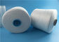 40s/2 spann Polyester-Garn-Jungfrau-rohes Weiß auf färbendem Rohr-/Papier-Kegel fournisseur