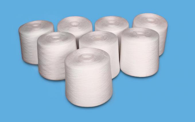 40 / 100% gesponnenes Polyester-Garn 2 40/3 auf sterbendem Rohr-natürlichem Plastikweiß